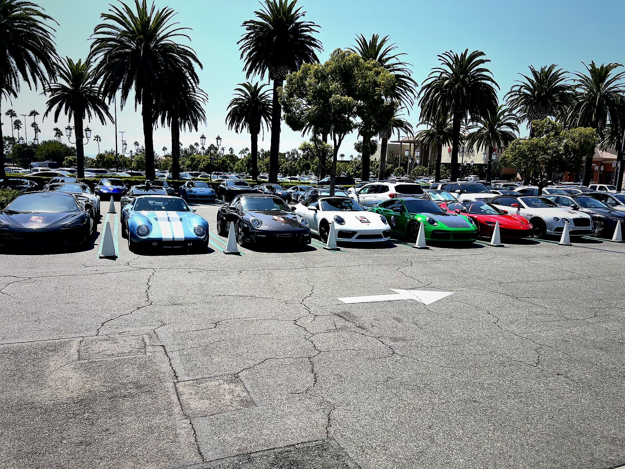 A row of supercars including a McLaren, a Shelby Daytona, three Porsche 911s and a red Ferrari, each staged behind a valet cone in a palm-lined car park
